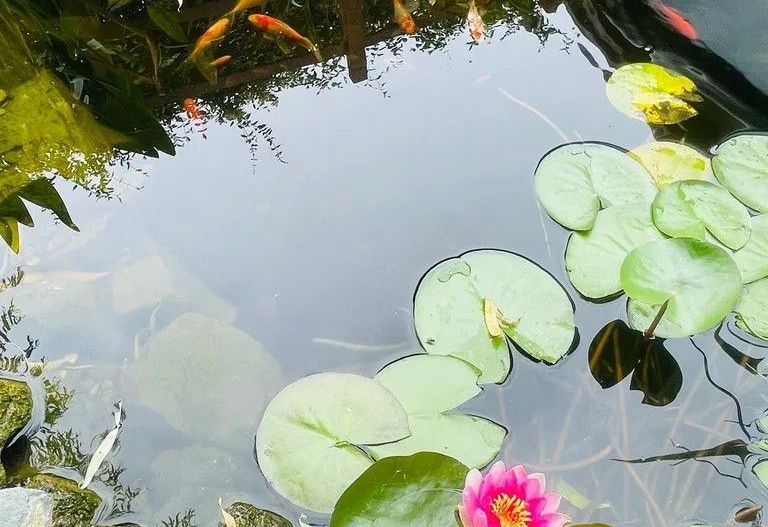 Vila vanzare| Balotesti| duplex P+1 deosebit |complet renovata in 2025 - Poză 10