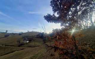 Oaza de liniste si frumusete, reconectare cu natura, 16.000 mp, Poiana Marului - Poză 1