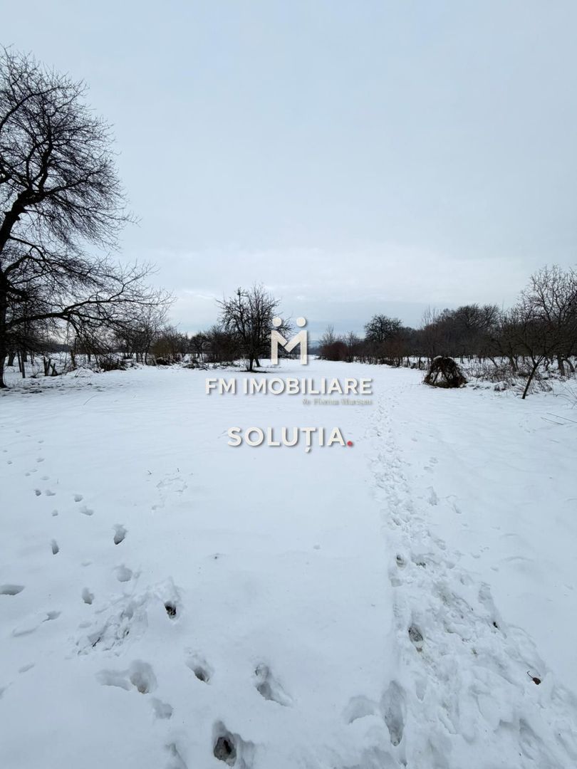 Casă cu teren generos în Buciumi - Poză 8