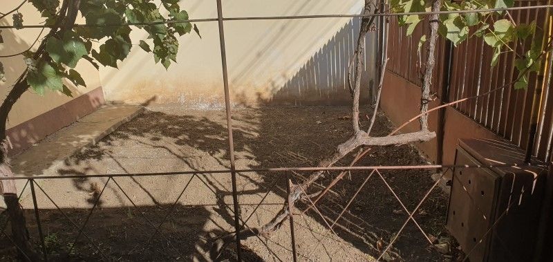 Andronache, str. Turistilor nr. 27 - Poză 20