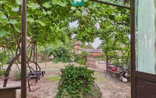 Casă cu 4 camere și teren de 5538 mp în Macea - Poză 15
