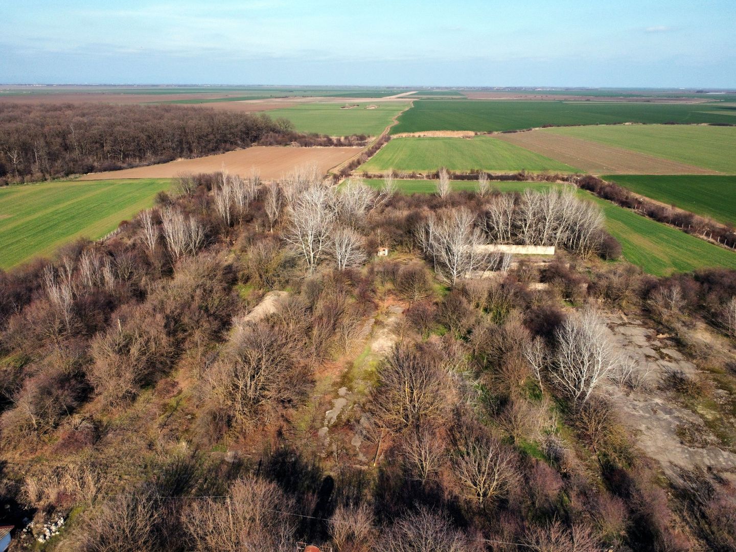 Ferma si livada de meri in judetul Ilfov - Poză 13