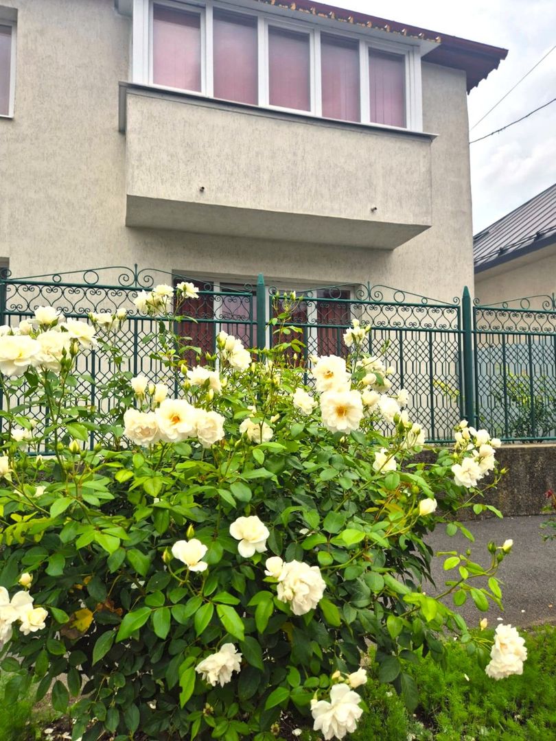 Casă pretabilă investiție, spațioasă, singur în curte, 600 mp teren - Poză 2