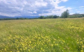 TEREN DE VÂNZARE 1000 MP ȘELIMBĂR ZONA TROIȚĂ | INVESTIȚIE - Poză 6