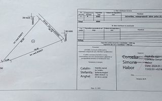 Terenuri intravilane de vânzare| Ciolpani |Acces rapid DN1 & A0 - Poză 2
