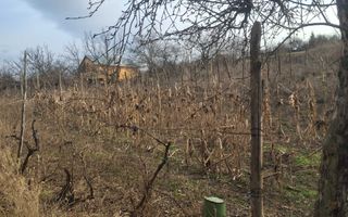 Casă de vânzare în satul Perieni, comuna Probota, cu grădină - Poză 2