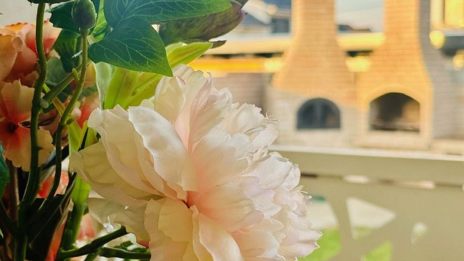 3 camere | de vanzare | casuta superba - Dumbravita - Poză 12