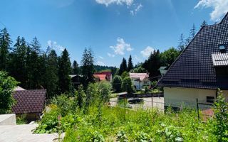 Vila Sinaia - Poză 4