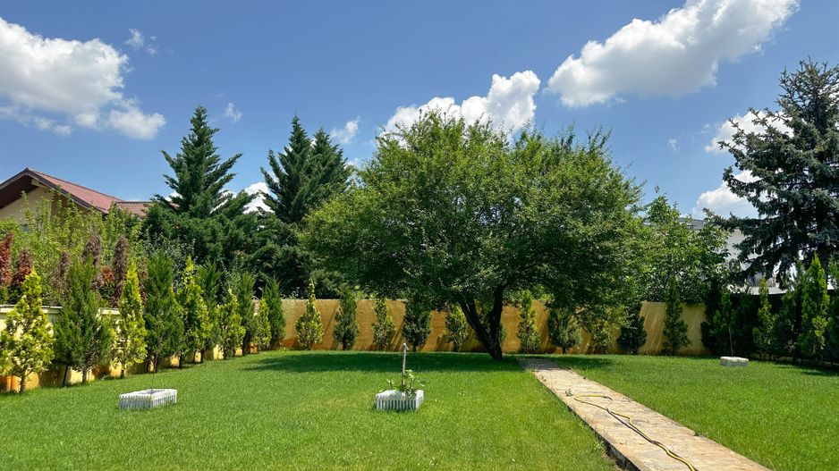 Chirie I Vilă individuală | 3 dormitoare | 1000 mp I Iancu Nicolae - Poză 3