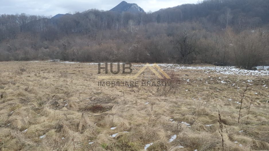 Teren Pretabil Investitie | Parau Rece Rasnov | 10.035mp | Extravilan - Poză 6