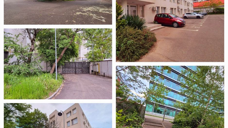 STUDIO | DIMITRIE POMPEIU | PIPERA | PET-FRIENDLY - Poză 7