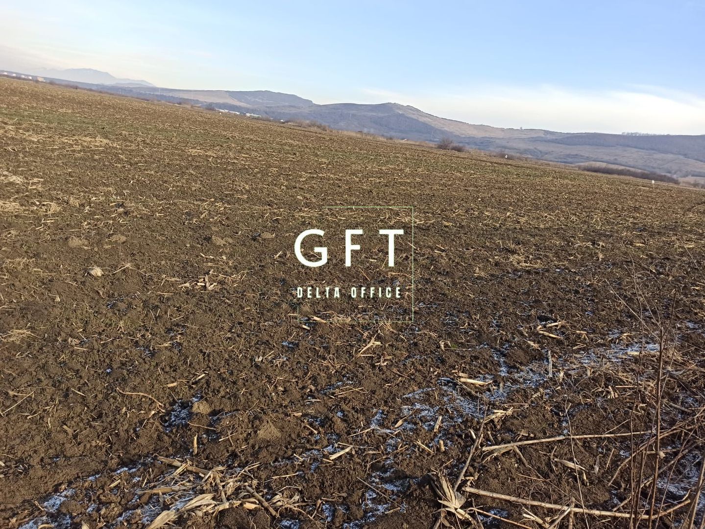 Teren 2906 mp - ideal investitie - Sarata - Poză 1