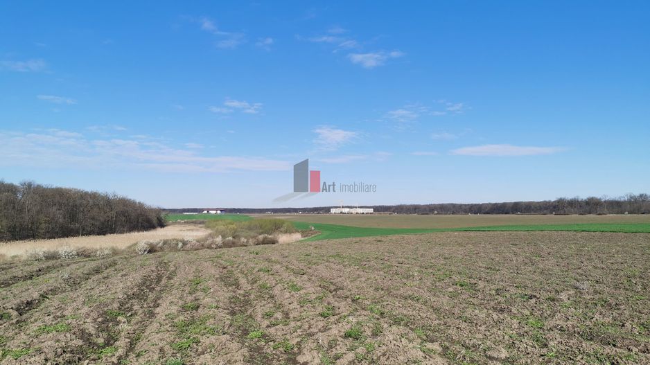 6,9 ha mp | 25 euro/mp |  in spate la Jumbo. - Poză 4