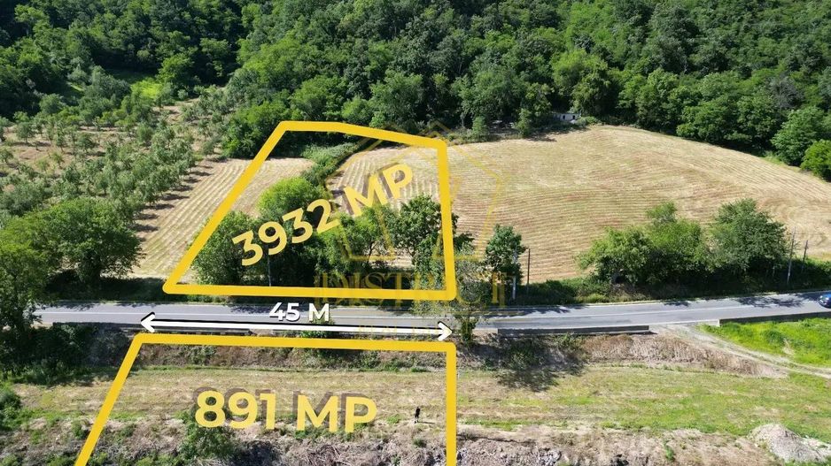 Teren intravilan cu iesire la Dunare | Clisura Dunarii - Poză 2