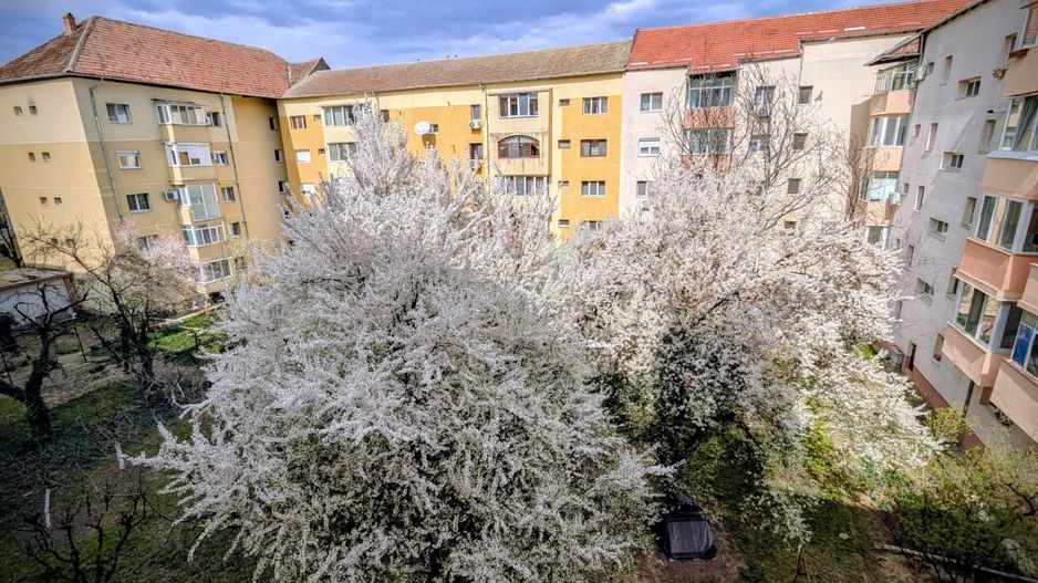 Girocului-Lidia | Clasa Energetică A | Mobilat și Utilat | Etaj intermediar - Poză 18