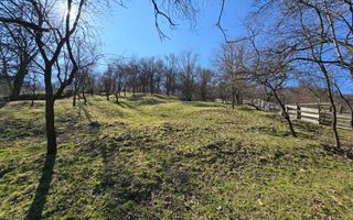 Casa de Vacanta 2 Camere, Strada Morilor Zlatna - Poză 15