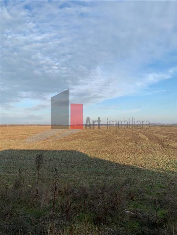Teren 10000 mp Pipera - Voluntari - Poză 1