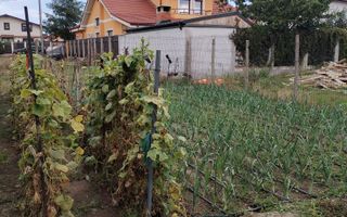 Lumina (cod04)-Casa P+1 4 camere 3 bai - Poză 9