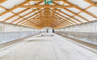 Hală pentru producție / fermă zootehnică  - Variaș - Poză 2