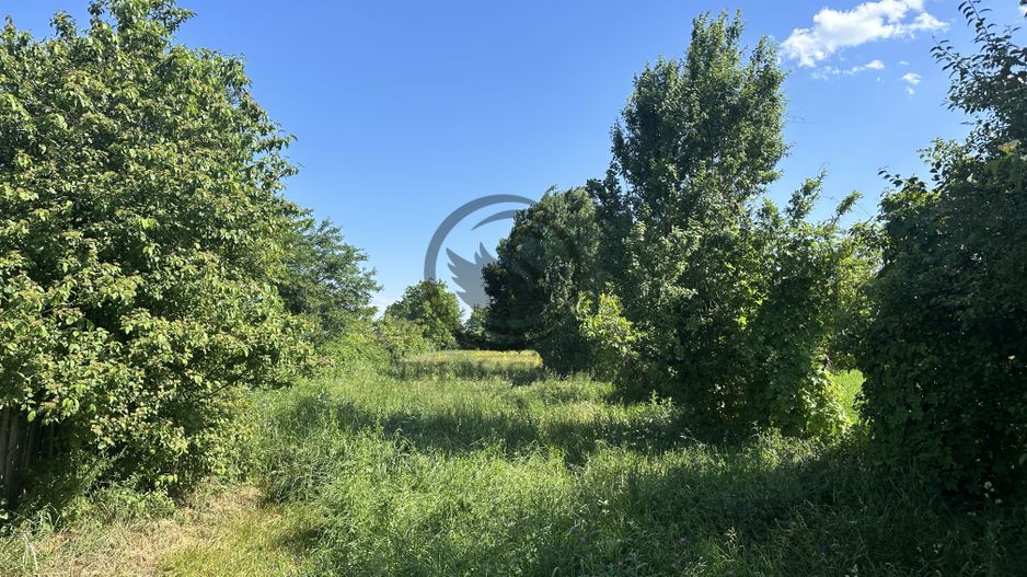 Teren intravilan de vanzare | 11.000 mp | Ghirdoveni | Comision 0% - Poză 5