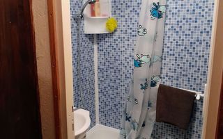 Cabană cu teren și pomi fructiferi Tropinii Noi ,Sibiu - Poză 10