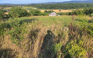 Teren intravilan de vânzare în Mogoșești, cu deschidere la stradă - Poză 2