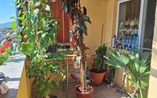 Apartament 2 camere cu POD generos - Selimbar, Triajului - Poză 9