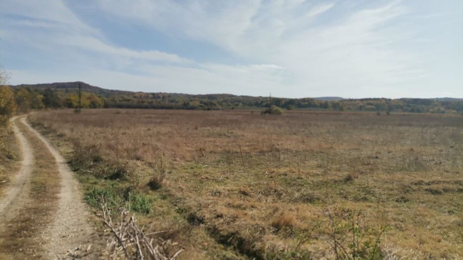 Vanzare teren arabil 22 Ha, plan, Arges, Moraresti - Poză 6