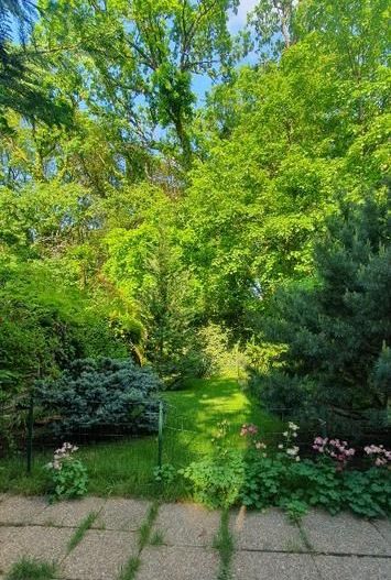 Vila 4 Camere Baneasa - Liceul Francez - - Poză 16