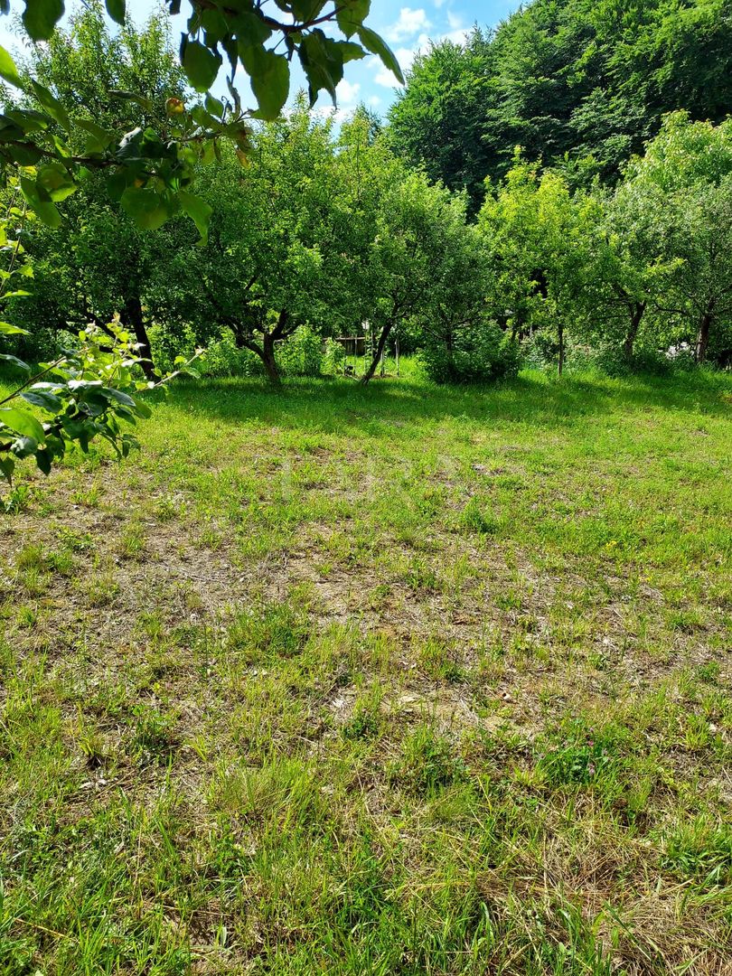 Teren de vis în Faget: Oportunitate unică pentru construirea casei tale ideale. - Poză 8