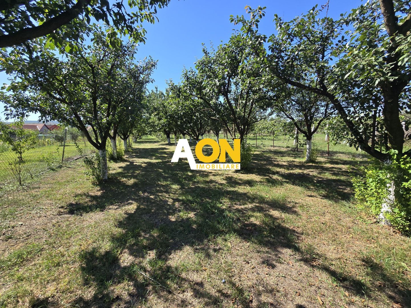 Casa 5 Camere 1700mp Teren, 10km de Alba Iulia - Poză 4