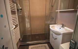 Vila 7 camere -Hala Traian Bucuresti - Poză 11