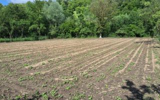 Casa cu 6 camere | Sitari | Bihor - Poză 13