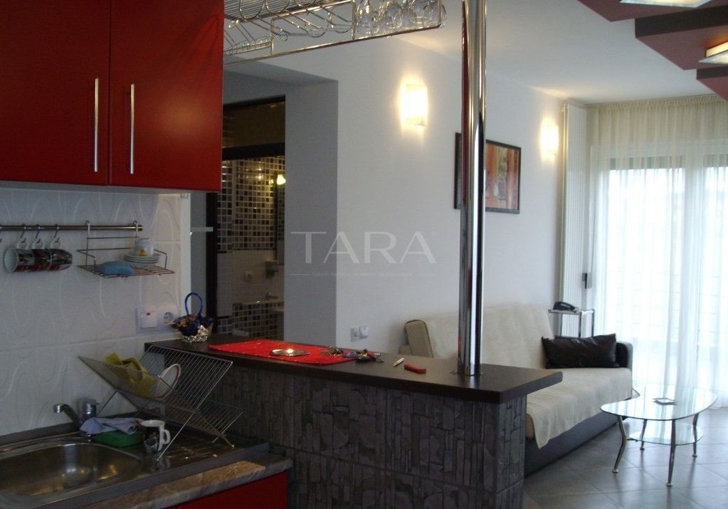 Penthouse 2 camere cu terasă panoramică – Europa - Poză 2