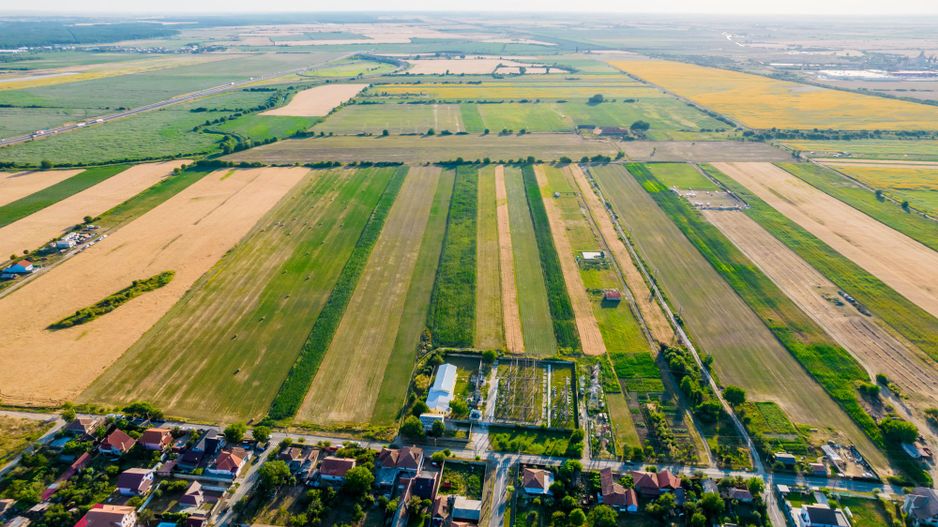 50 ha teren compact în Bujac - Poză 2