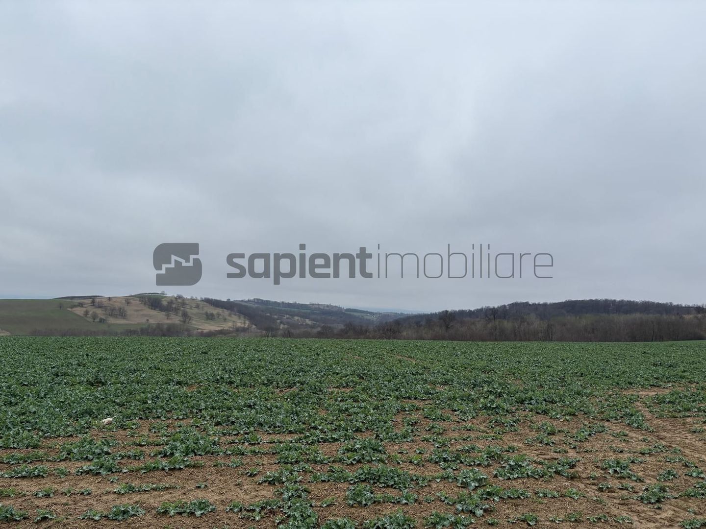 Teren în Hidiselul de Sus - Poză 1