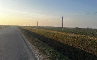 Teren Industrial Oradea spre Livada - Poză 3