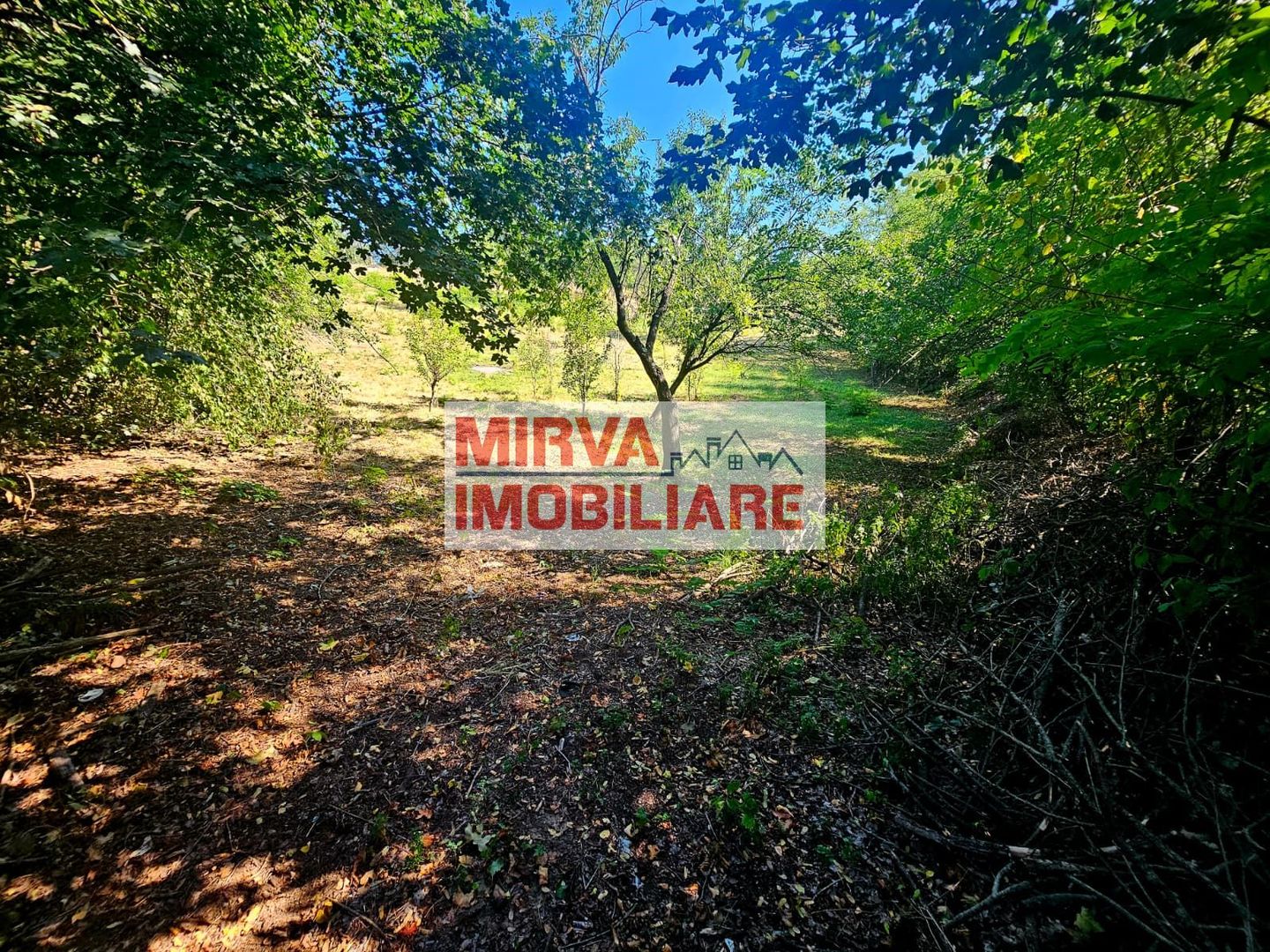 🌳 Teren intravilan 2322 mp, Păcuri – vedere superbă spre pădure! 🏡✨ - Poză 9