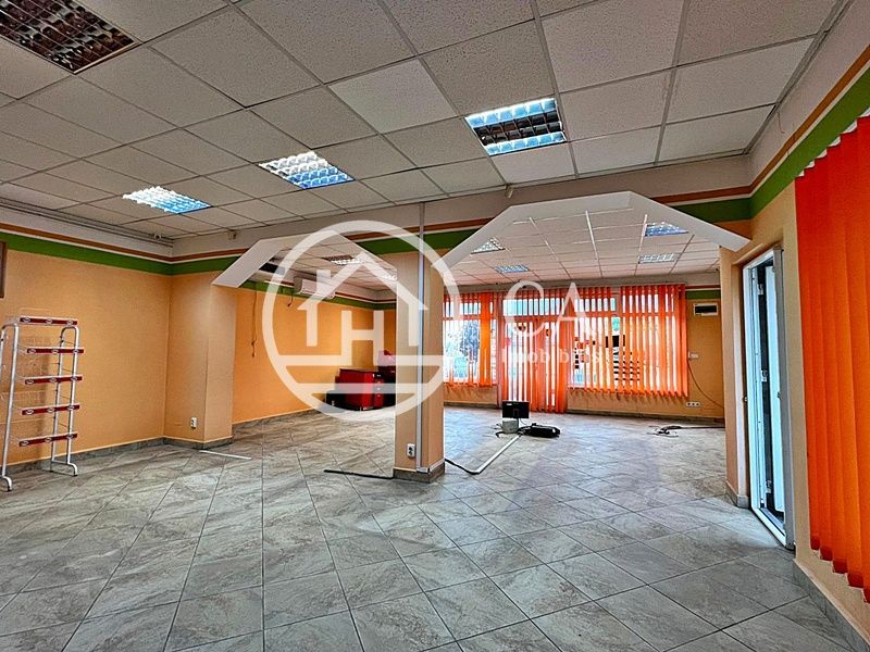 Anexe de vânzare pe o suprafata de teren de 2532 mp în Biharia, Bihor - Poză 2