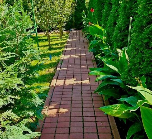 Casa tip Duplex P+1E + demisol + garaj | Zonă centrală | 432 mp teren - Poză 12