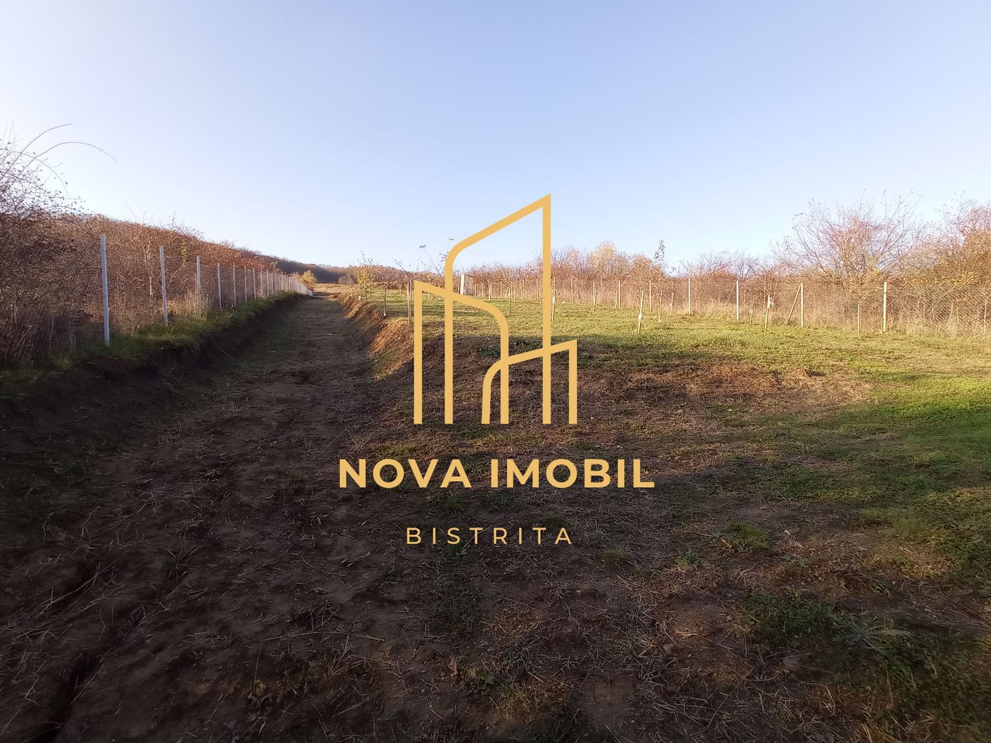 Teren Viisoara 27 ari - Poză 5