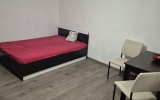 Garsoniera de închiriat- Brazdă lui Novac - Poză 3