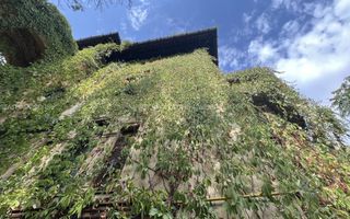 Casa de vanzare - Cismigiu - Poză 12