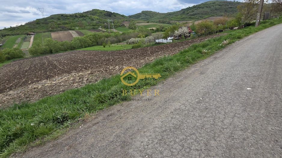 Teren Intravilan in Sibiu cu PUZ- 1116mp, str Gorunului, pret atractiv - Poză 3