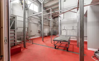 Unitate de abatorizare și procesare carne DN7  -  Nădlac - Poză 12