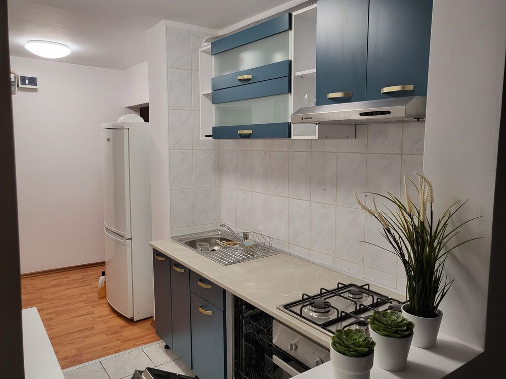 Inchiriere Apartament 3 Camere Nciolae Grigorescu Pet Friendly - Poză 1