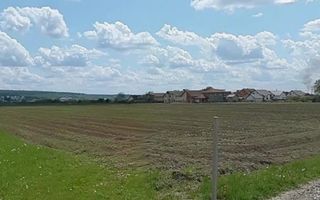 Teren Intravilan -Sâncraiu de Mureș - Poză 2