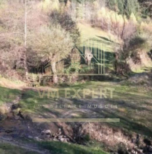 TEREN INTRAVILAN 4195 MP, LERESTI, ARGES - Poză 2