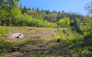 Teren intravilan | langa padure si parau | Luncani/Bacau - Poză 7