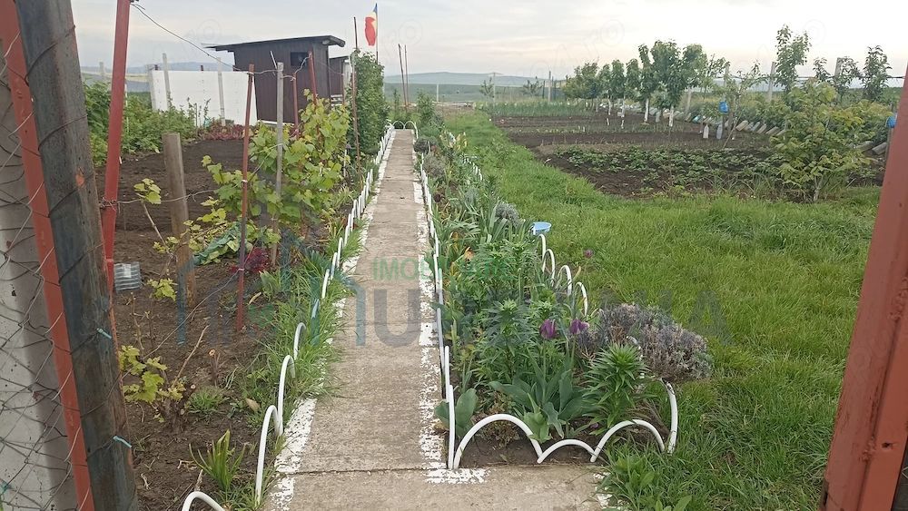 Teren Intravilan 470 mp   Horlești, Comuna Rediu (Proprietar) - Poză 4